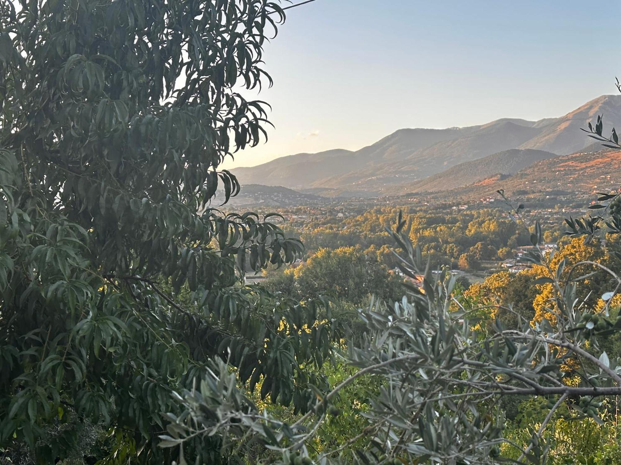 La Casa In Collina Leilighet Veroli Eksteriør bilde