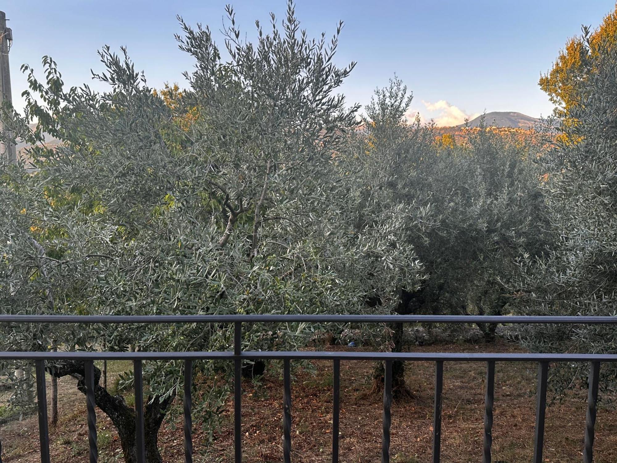 La Casa In Collina Leilighet Veroli Eksteriør bilde